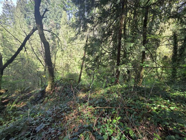 0 Ne 45th Ave, Vancouver, WA 98686