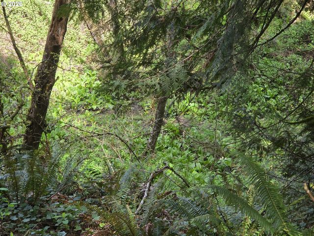 0 Ne 45th Ave, Vancouver, WA 98686