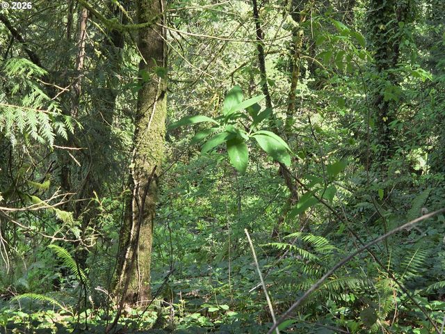 0 Ne 45th Ave, Vancouver, WA 98686