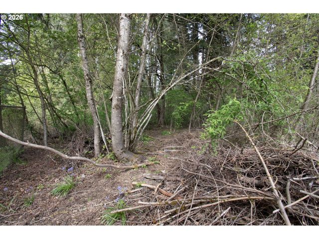0 Ne 45th Ave, Vancouver, WA 98686