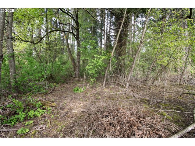 0 Ne 45th Ave, Vancouver, WA 98686