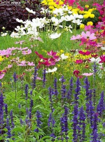 2925 S Vaughn Way, Aurora, CO 80014