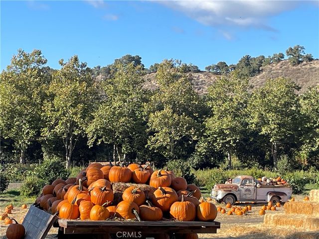 917 Printz, Arroyo Grande, CA 93420