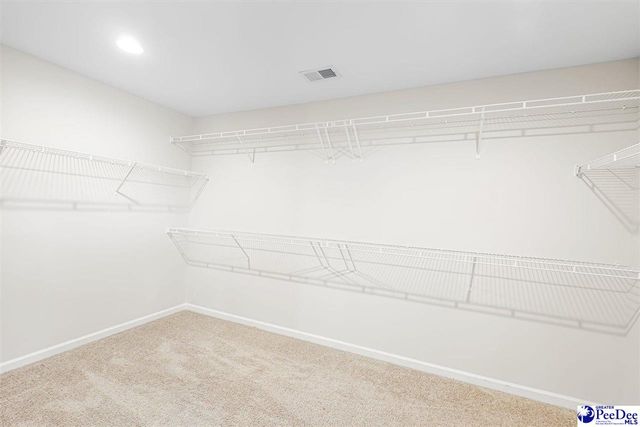 1017 Summer Duck Loop, Florence, SC 29501
