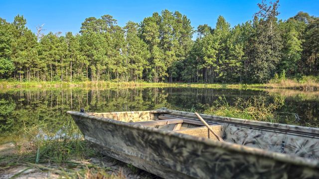 TBD Butler Road, Livingston, TX 77351
