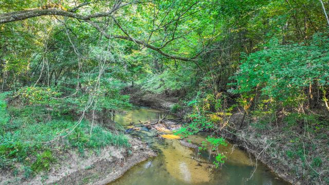 TBD Butler Road, Livingston, TX 77351