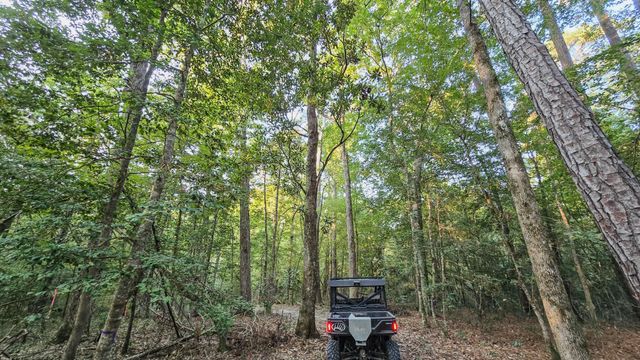 TBD Butler Road, Livingston, TX 77351