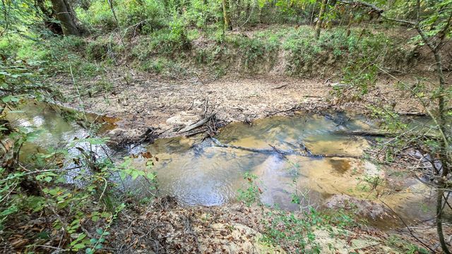 TBD Butler Road, Livingston, TX 77351