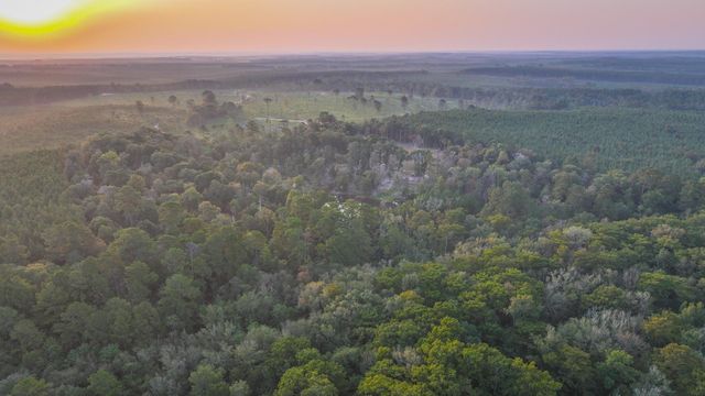 TBD Butler Road, Livingston, TX 77351