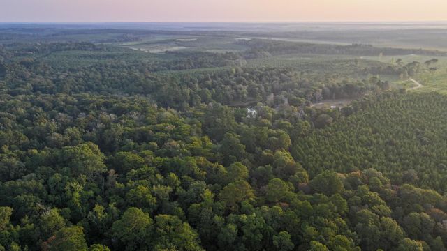 TBD Butler Road, Livingston, TX 77351
