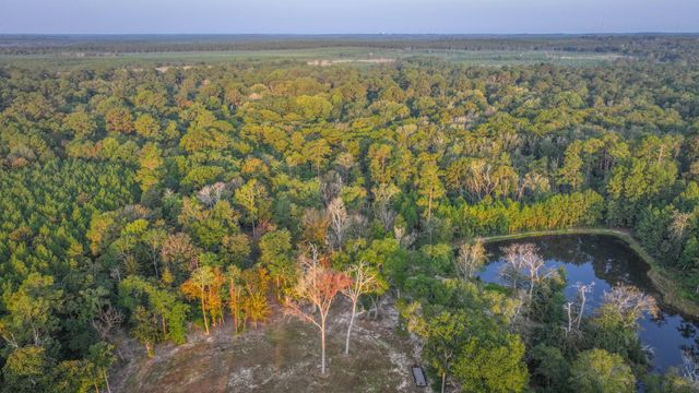 TBD Butler Road, Livingston, TX 77351