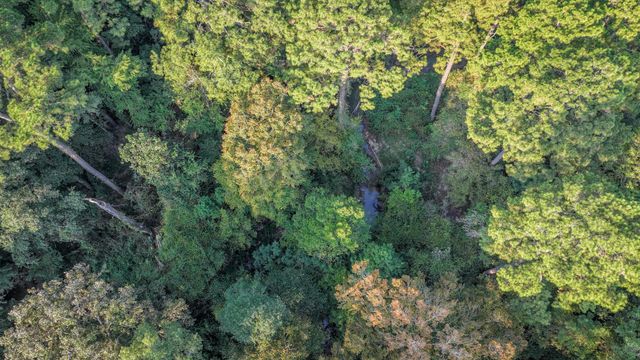 TBD Butler Road, Livingston, TX 77351