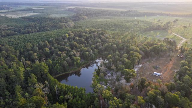 TBD Butler Road, Livingston, TX 77351