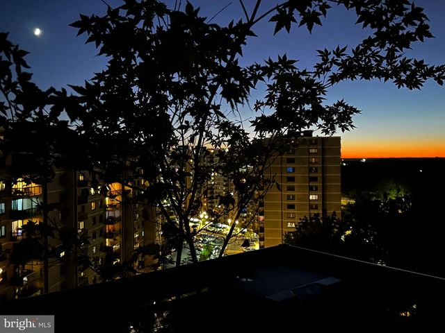 203 YOAKUM PKWY #1707, Alexandria, VA 22304