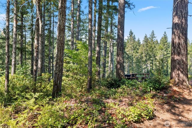 261 NE Circle Drive, Tahuya, WA 98588