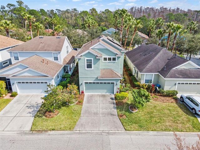 20033 HERITAGE POINT DRIVE, Tampa, FL 33647
