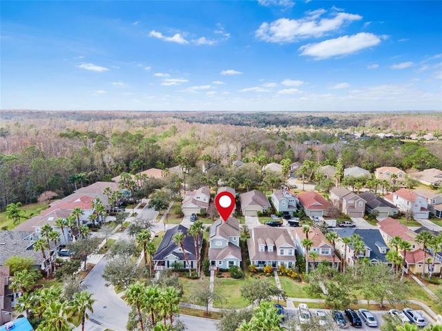20033 HERITAGE POINT DRIVE, Tampa, FL 33647