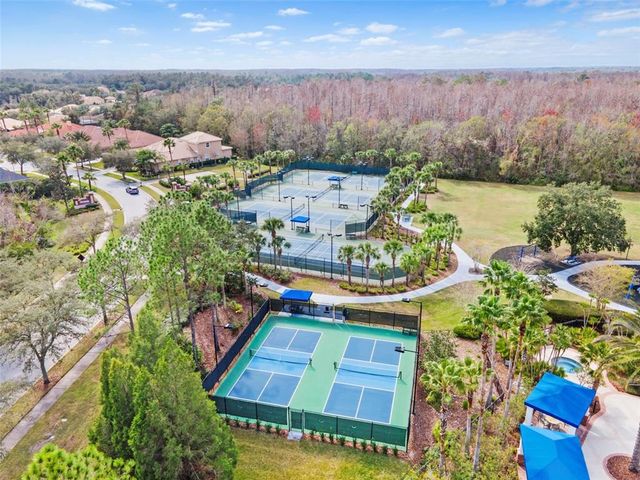 20033 HERITAGE POINT DRIVE, Tampa, FL 33647
