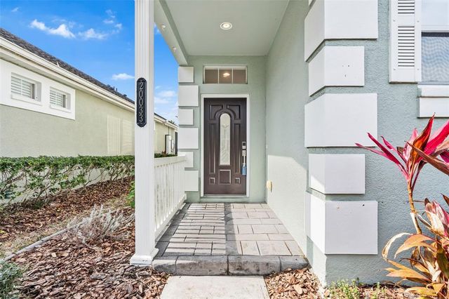 20033 HERITAGE POINT DRIVE, Tampa, FL 33647