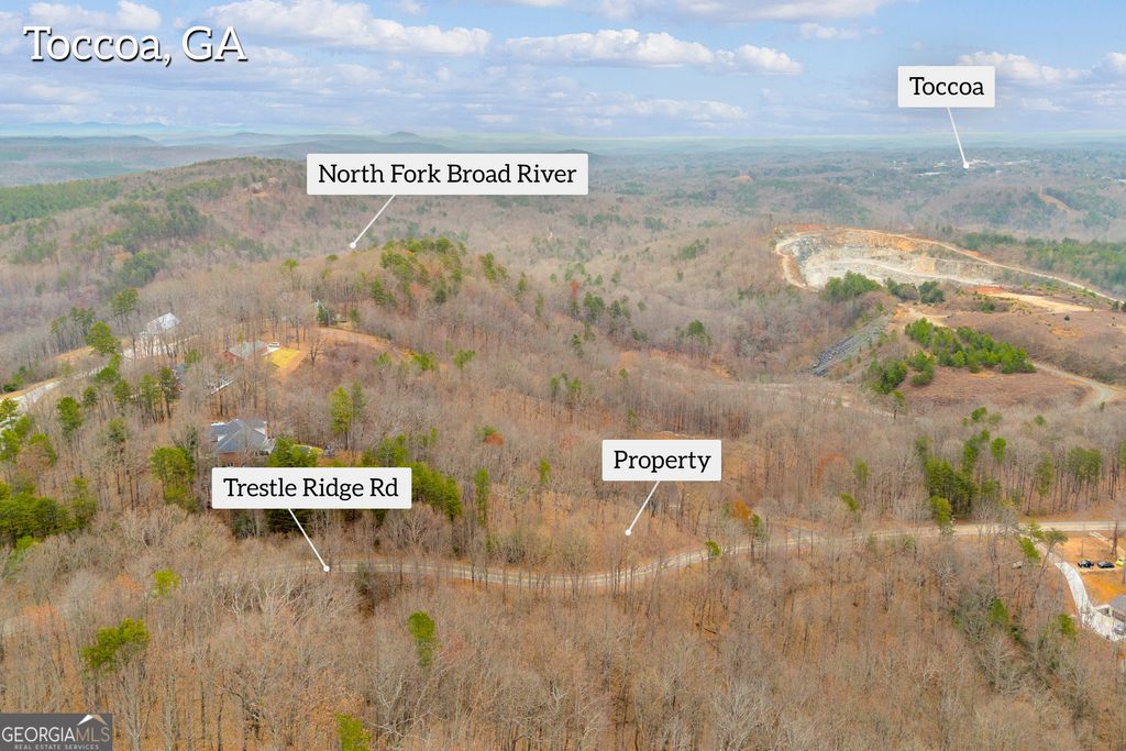 0 Trestle Ridge Road, Toccoa, GA 30577 — photo 4