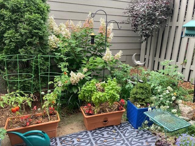 768 Watersedge Drive, Ann Arbor, MI 48105