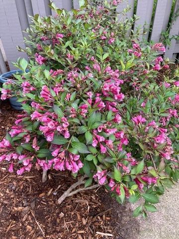 768 Watersedge Drive, Ann Arbor, MI 48105