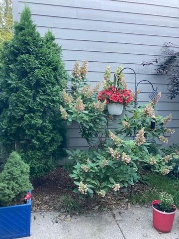 768 Watersedge Drive, Ann Arbor, MI 48105