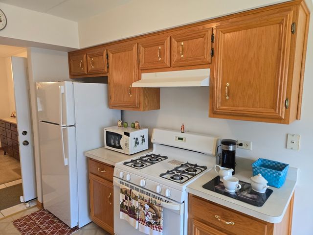 13950 Lavergne Avenue 908, Crestwood, IL 60418