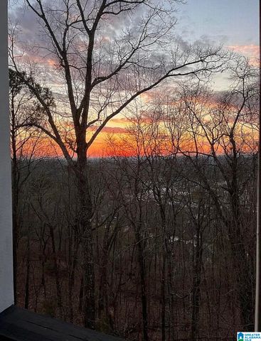 1003 Morning Sun Dr, Birmingham, AL 35242