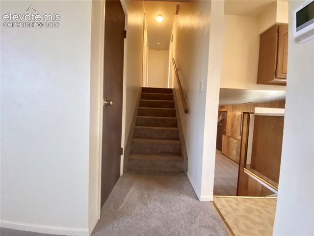 4262 N Hammock Drive, Colorado Springs, CO 80917