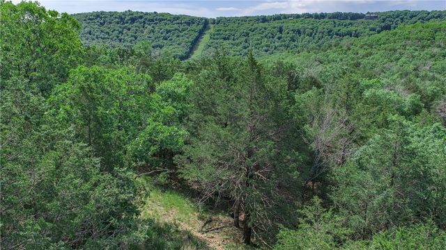 630 CR-2560, Eureka Springs, AR 72631