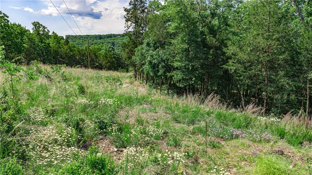 630 CR-2560, Eureka Springs, AR 72631