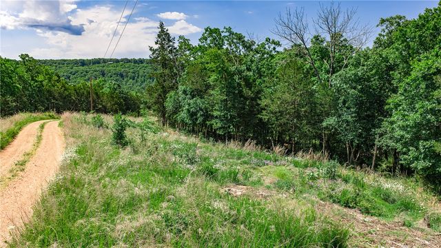 630 CR-2560, Eureka Springs, AR 72631