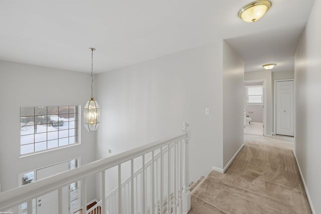 6884 Haymarket Street, Shelby Twp, MI 48317