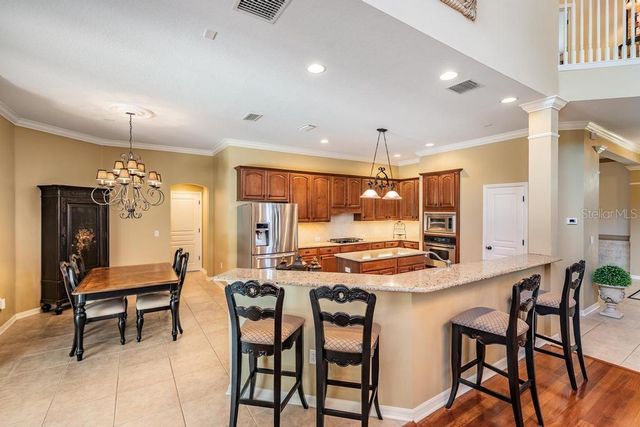 14677 CANOPY DRIVE, Tampa, FL 33626