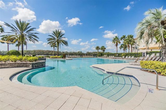 14677 CANOPY DRIVE, Tampa, FL 33626