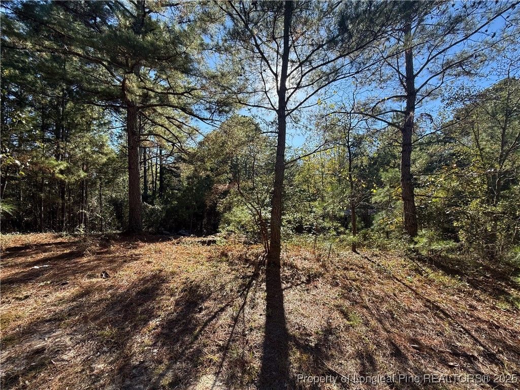 2608 Blowing Rock Court, Hope Mills, NC 28348 — photo 10