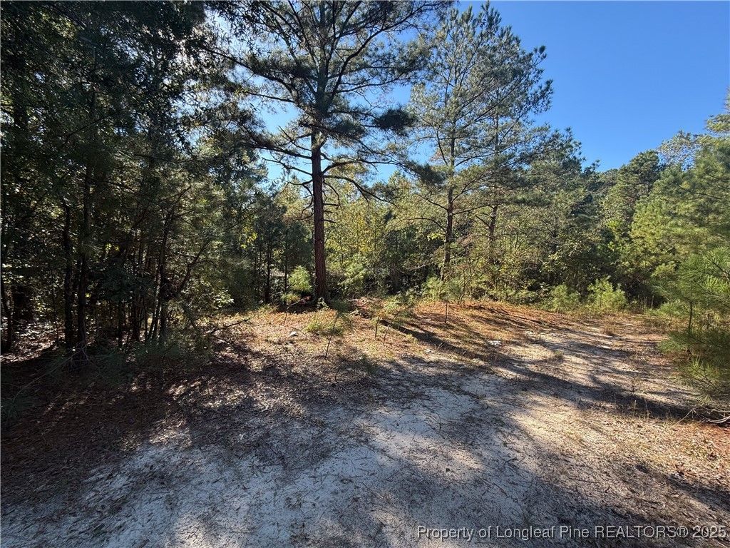 2608 Blowing Rock Court, Hope Mills, NC 28348 — photo 11