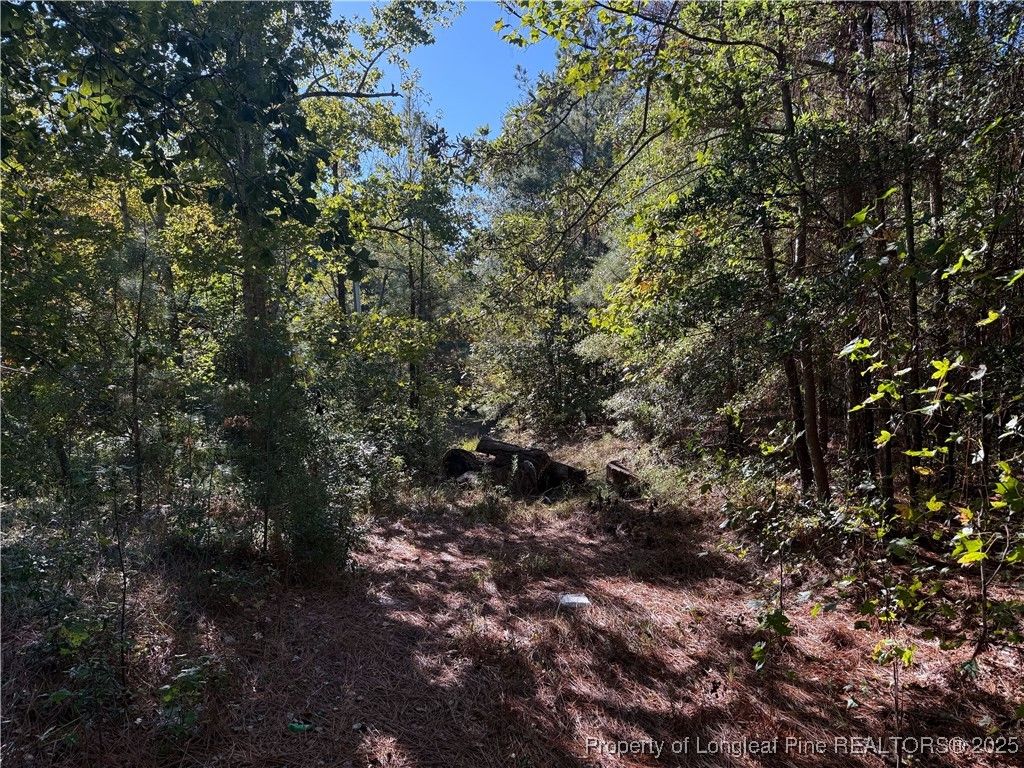 2608 Blowing Rock Court, Hope Mills, NC 28348 — photo 2