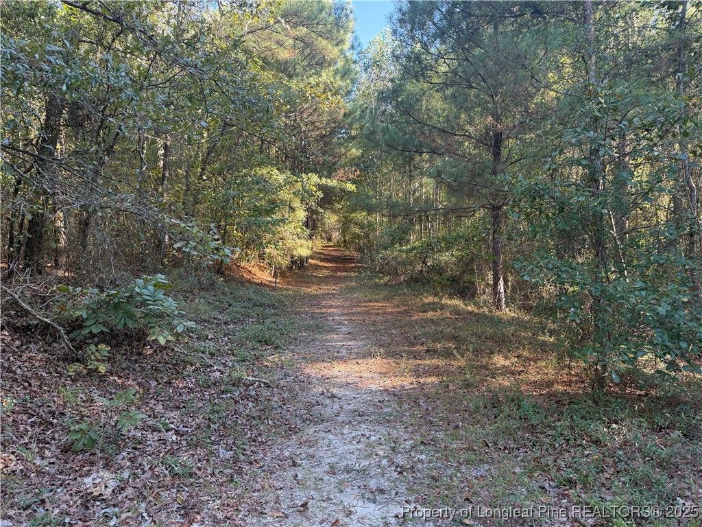 2608 Blowing Rock Court, Hope Mills, NC 28348 — photo 4
