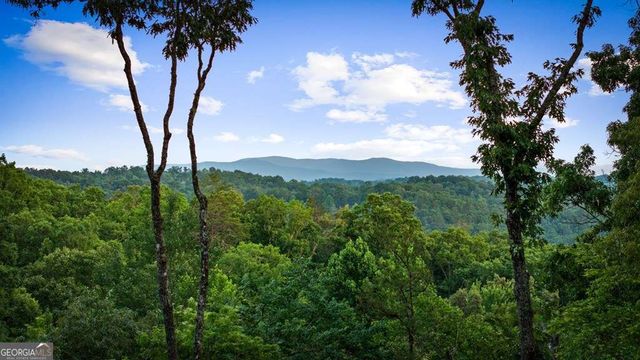 241 Wolf Creek Mountain Road, Mineral Bluff, GA 30559