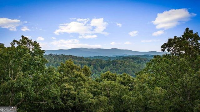 241 Wolf Creek Mountain Road, Mineral Bluff, GA 30559
