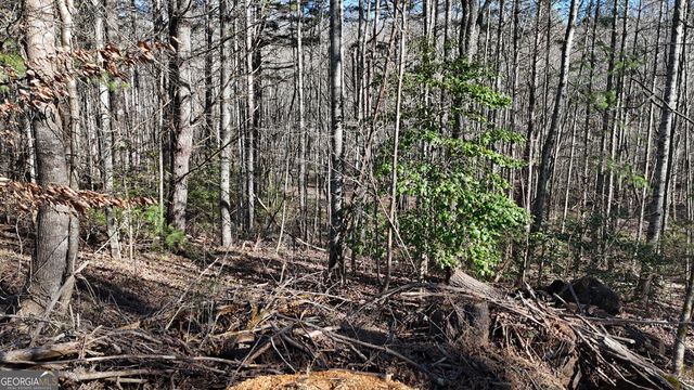 9200 Murphy Highway, Blairsville, GA 30512