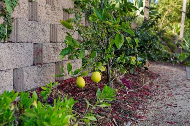 971 San Lorenzo Court, Solana Beach, CA 92075