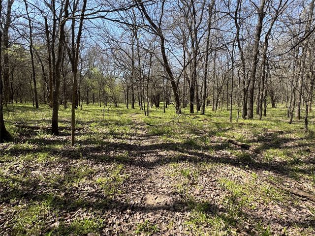 0000 FM 1752, Savoy, TX 75479