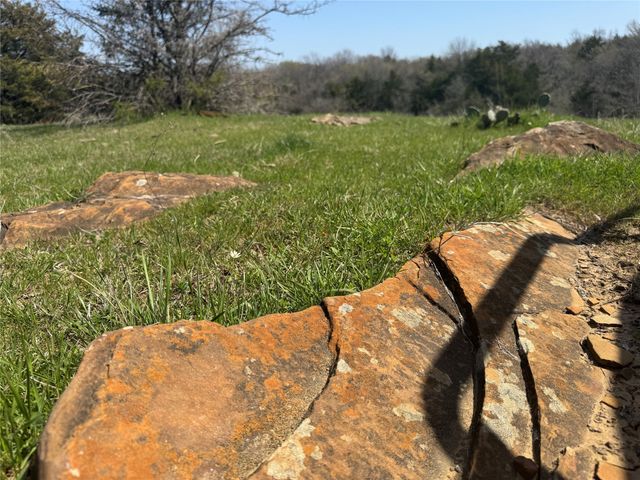 0000 FM 1752, Savoy, TX 75479