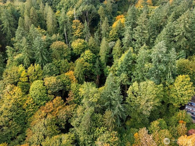 445 W Lake Sammamish Parkway SE, Bellevue, WA 98008