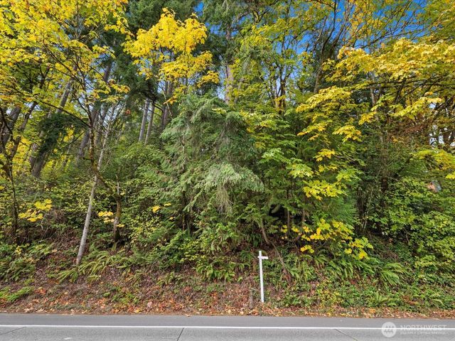 445 W Lake Sammamish Parkway SE, Bellevue, WA 98008