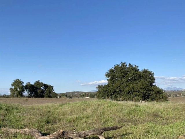 0 Lynch Lane, Sage, CA 92543