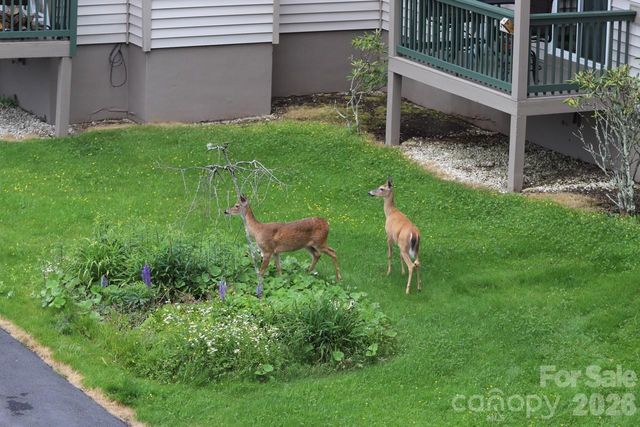 301 Pinnacle Inn Road 3304A, Beech Mountain, NC 28604